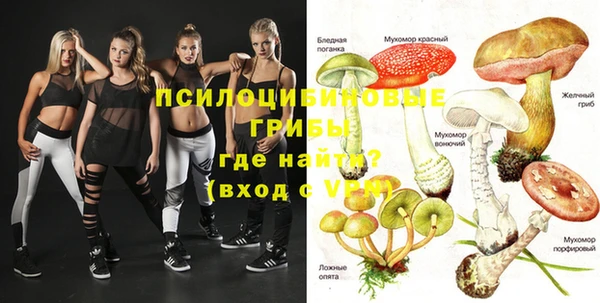шишки Алексеевка