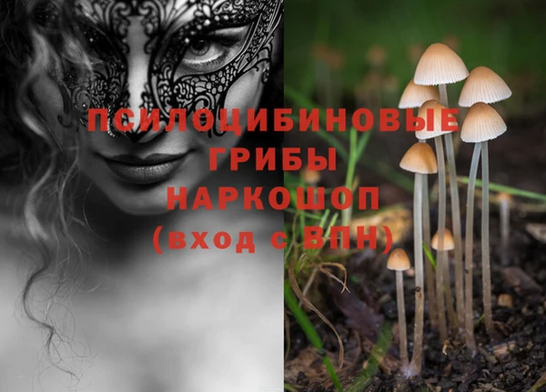 прущий лед Алзамай