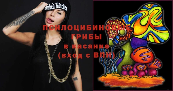 прущий лед Алзамай