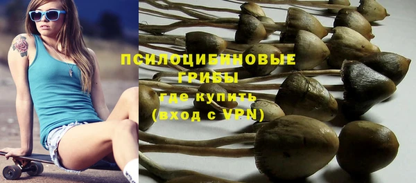 шишки Алексеевка