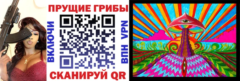 Псилоцибиновые грибы MAGIC MUSHROOMS  где купить наркоту  Зеленоградск 